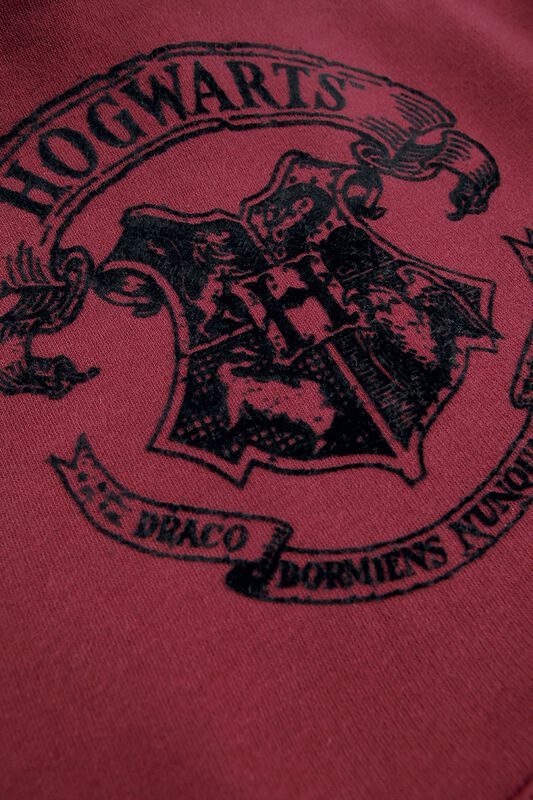 Kinder Kids (Gr. 98-134) Hogwarts Crest | Harry Potter Kapuzenpullover