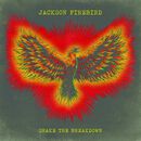 Shake the breakdown, Jackson Firebird, CD
