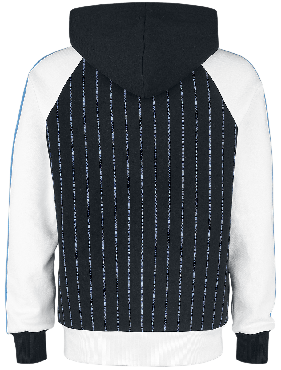 Playstation Striped Logo Kapuzenjacke multicolor
