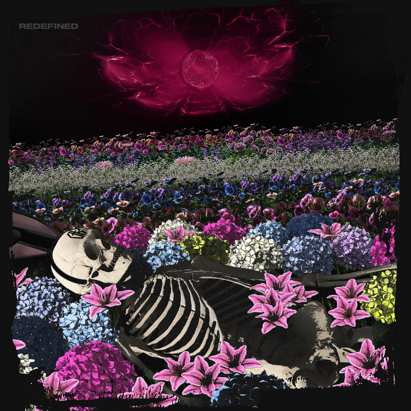 CD  av Dead Rabbitts - Redefined -  -