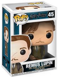 Remus Lupin Vinyl Figure 45