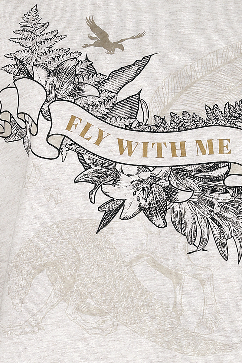 Harry Potter Seidenschnabel (Buckbeak) T-Shirt creme meliert