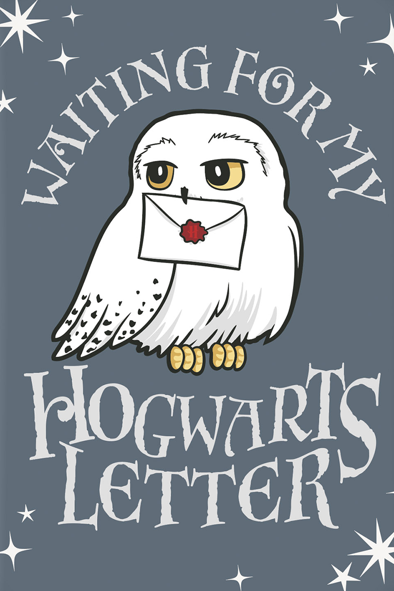 Harry Potter Hogwarts - Letter Bettwäsche multicolor