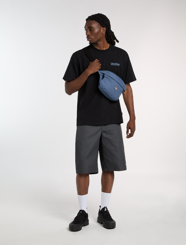 Dickies  T-Shirt FAIRLAWN SS TEE BLACK