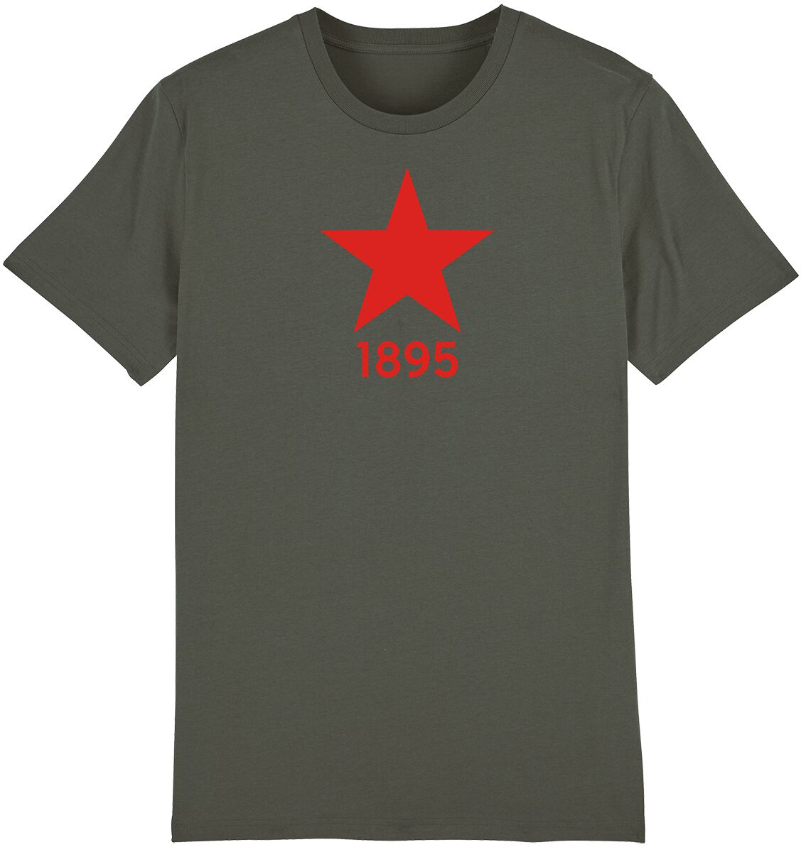 Fortuna Düsseldorf T-Shirt - F95 Stern - S bis M - für Männer - Größe S - grau