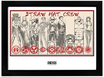Straw Hat Crew