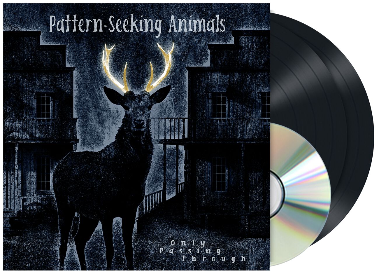 Image of Pattern-Seeking Animals Only passing through 2-LP & CD schwarz