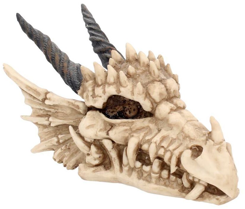 Image of Articoli Decorativi Gothic di Nemesis Now - Dragon Skull Box - Unisex - standard