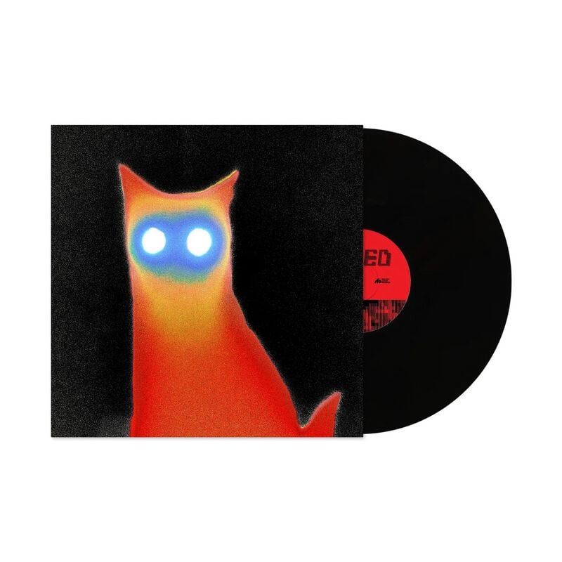 Basement LP - Wired - varten Ei määritelty -