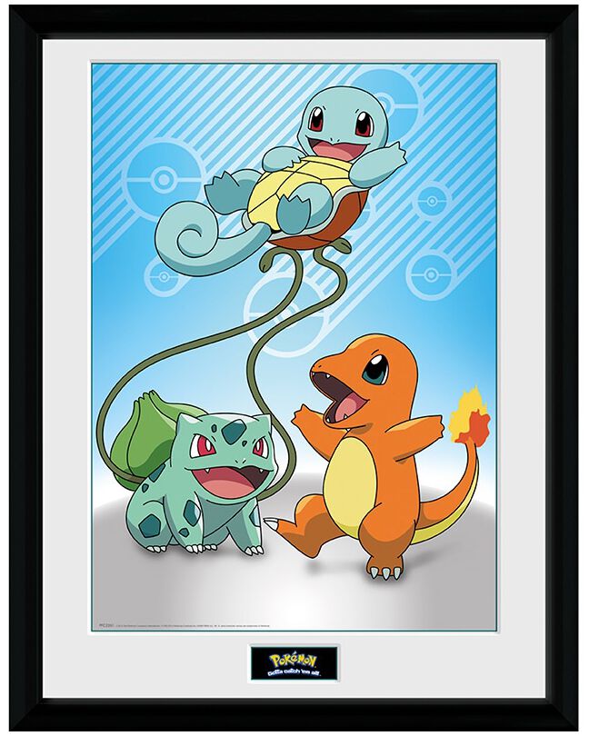 Pokémon Kanto Starters Framed Image multicolor