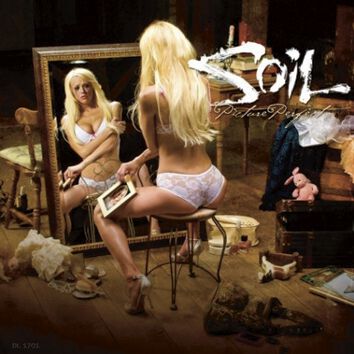 Image of Soil Picture perfect CD Standard