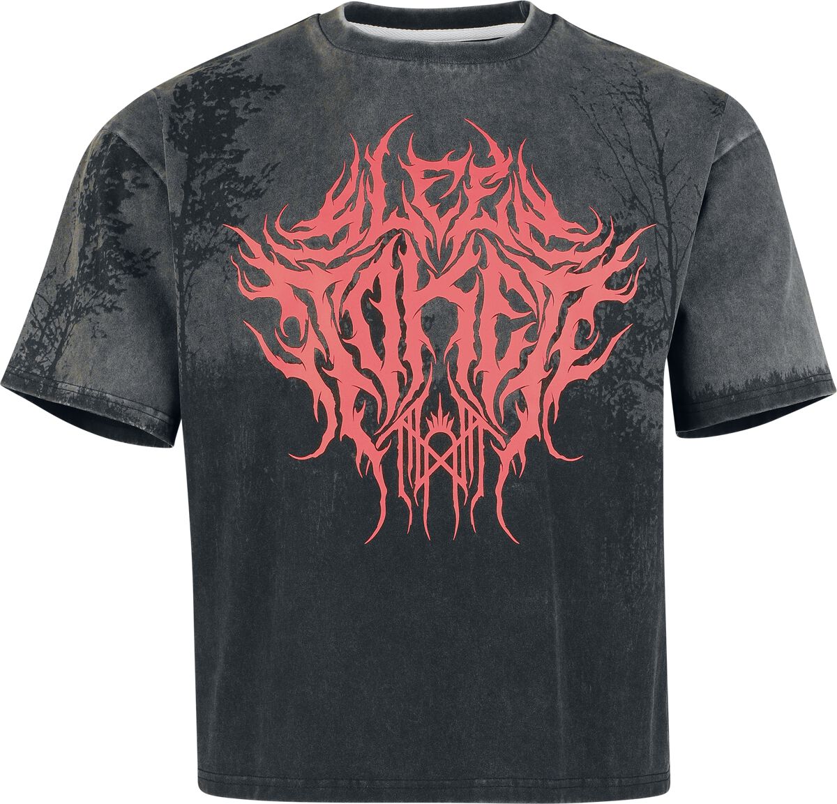4068143338806 - EMP Signature Collection - Heavyweight T-Shirt dunkelgrau schwarz in S