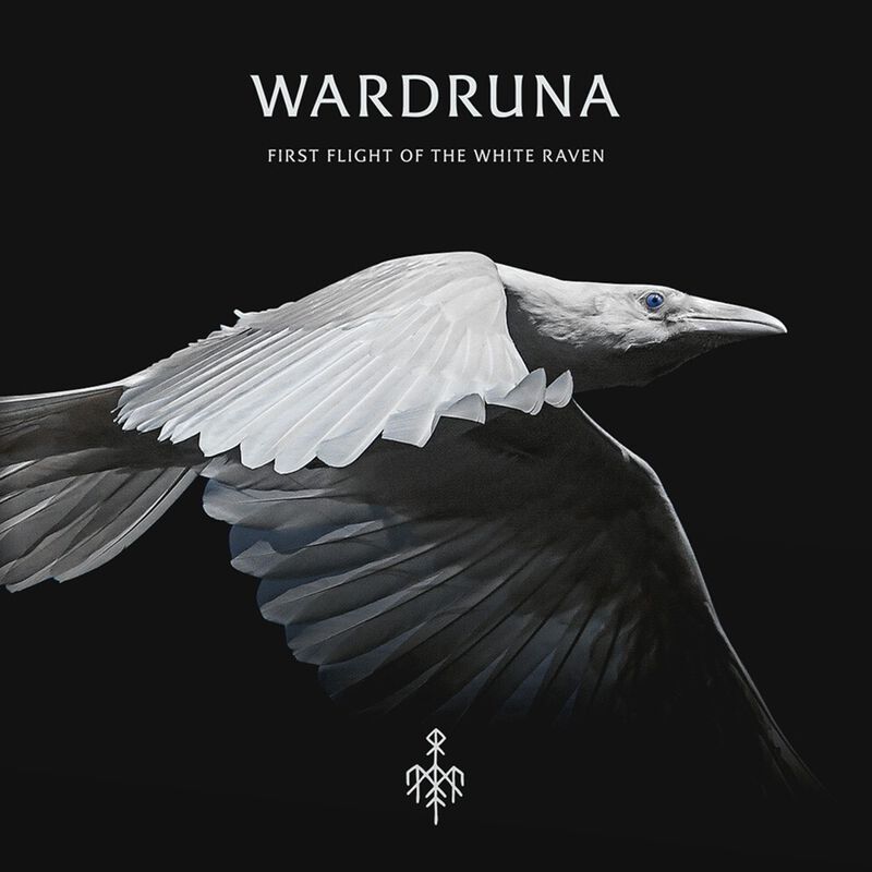 Band Merch Wardruna Kvitravn - First flight of the white raven | Wardruna LP