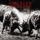 #13, Gotthard, CD