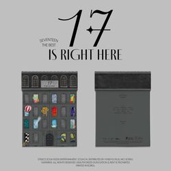 Best album -  17 is right here (hear version), Seventeen, CD