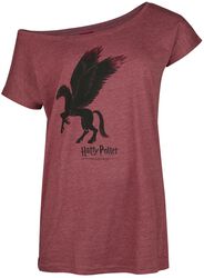 Hippogriff, Harry Potter, T-Shirt