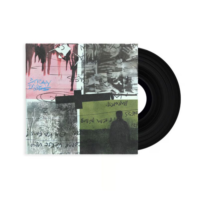 🏷️ LP  de Nothing But Thieves - Stray Dogs Indifférent