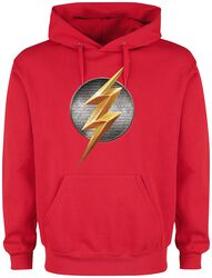 Justice League Movie Flash Logo
