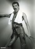 Freddie Mercury, Queen, Poster