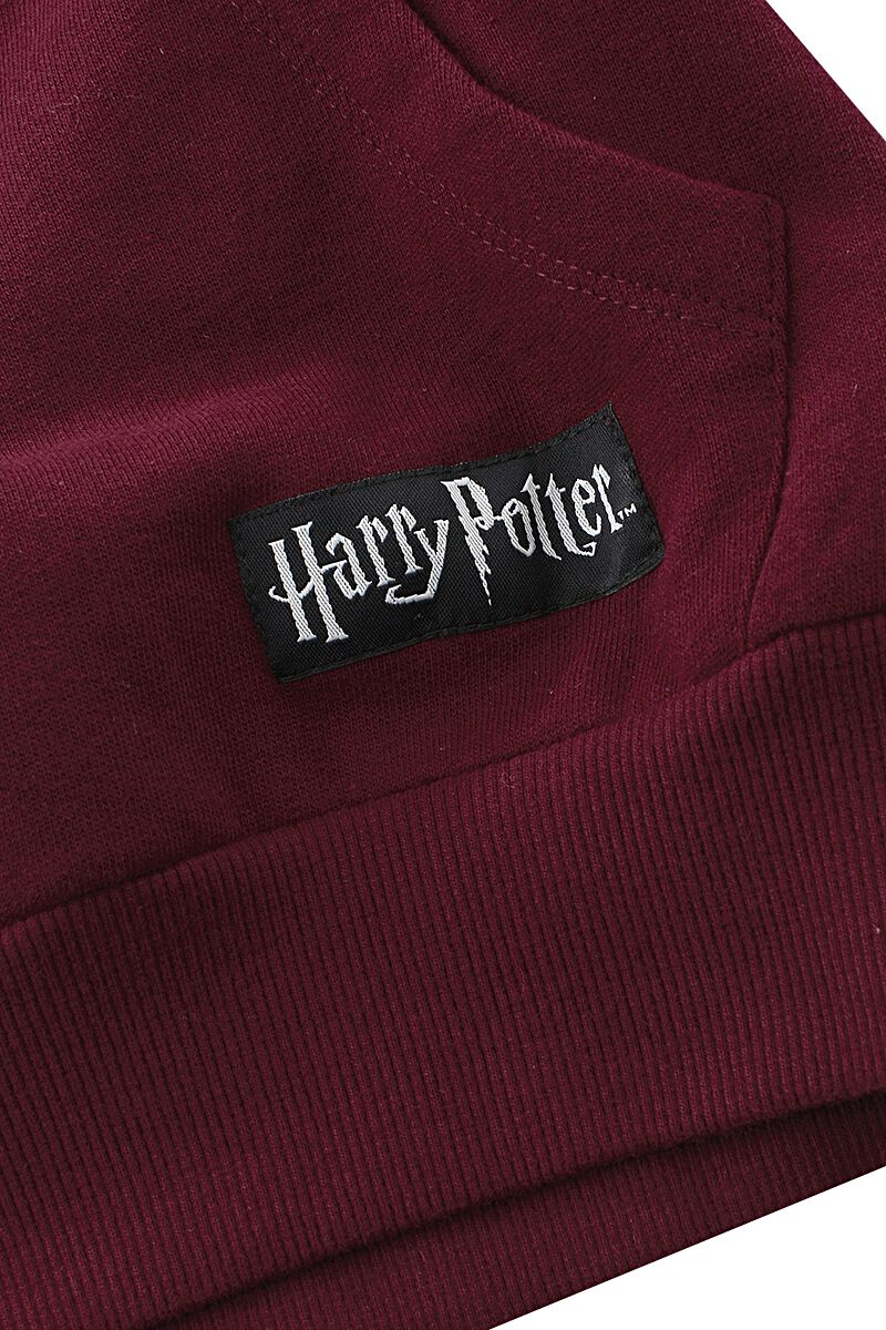 Kids - Gryffindor | Harry Potter Kapuzenpullover | EMP
