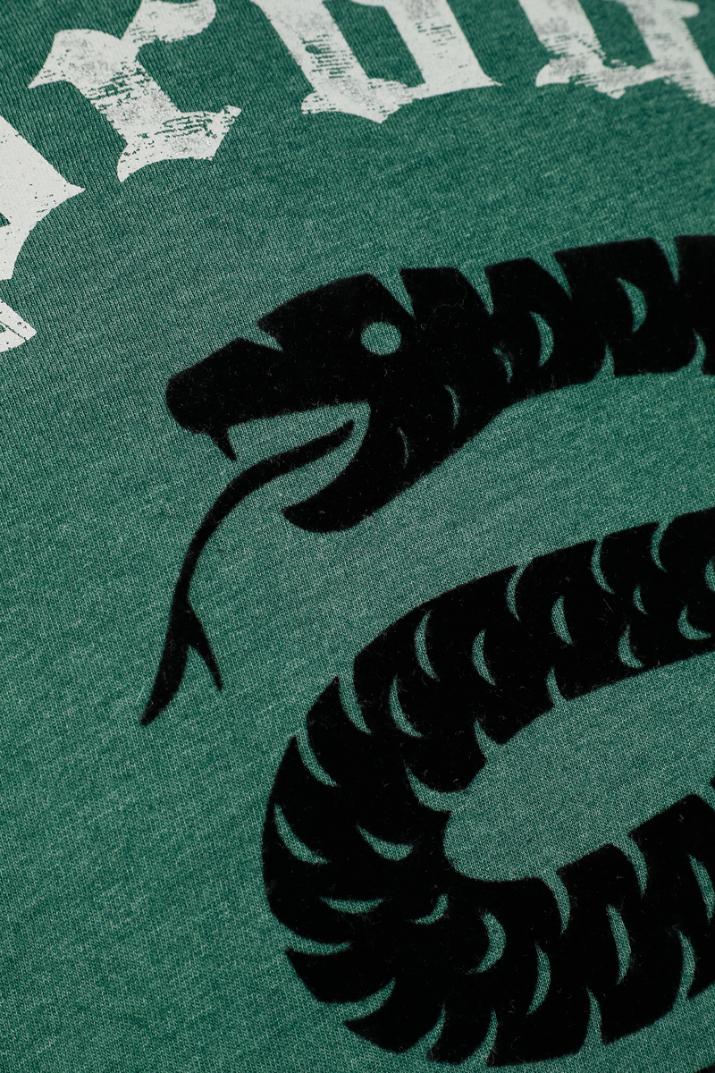 Thumbnail - Harry Potter Slytherin - Proud T-Shirt multicolor in M