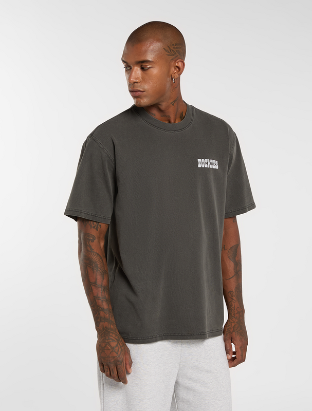 Thumbnail - Dickies BUCHTELL TEE T-Shirt schwarz in L