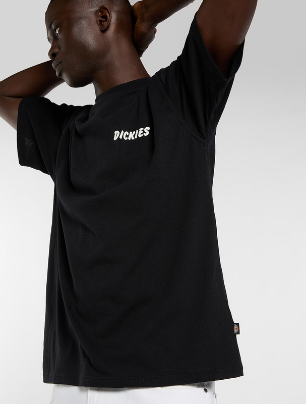 Thumbnail - Dickies DRY RIDGE TEE T-Shirt schwarz in S