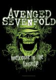 Welcome To The Family, Avenged Sevenfold, Flagge