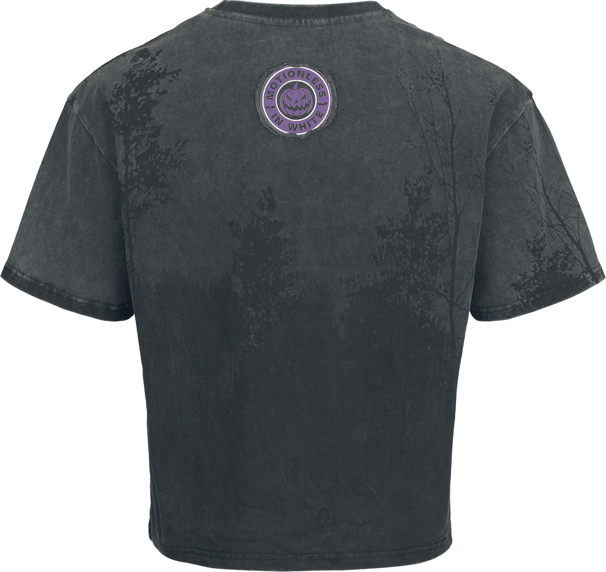 4068143337670 - EMP Signature Collection - Heavyweight T-Shirt dunkelgrau schwarz in S