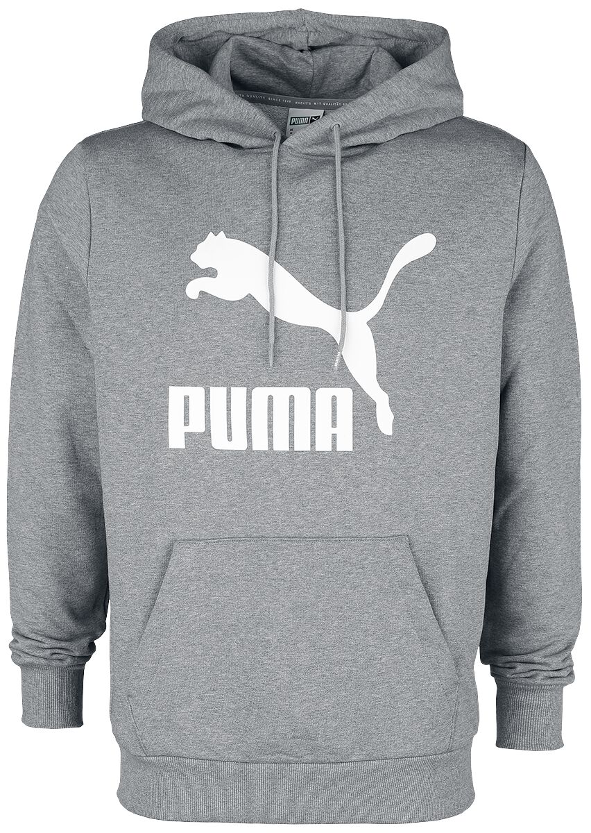 Puma Classics Logo Hoodie TR Hooded sweater grey