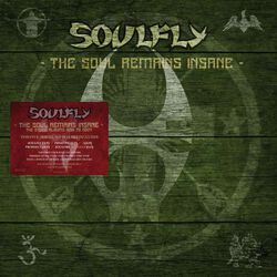 The soul remains insane: Studio albums 1998 to 2004
