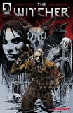 1, The Witcher, Graphic Novel