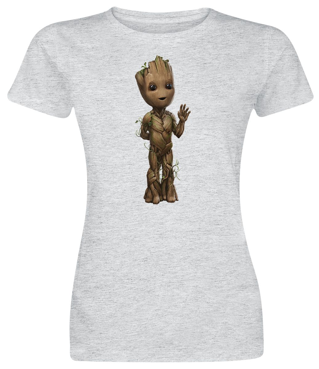 Guardians Of The Galaxy Wave T-Shirt grey