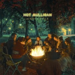 Acoustic Vol. 1+2, Hot Mulligan, LP
