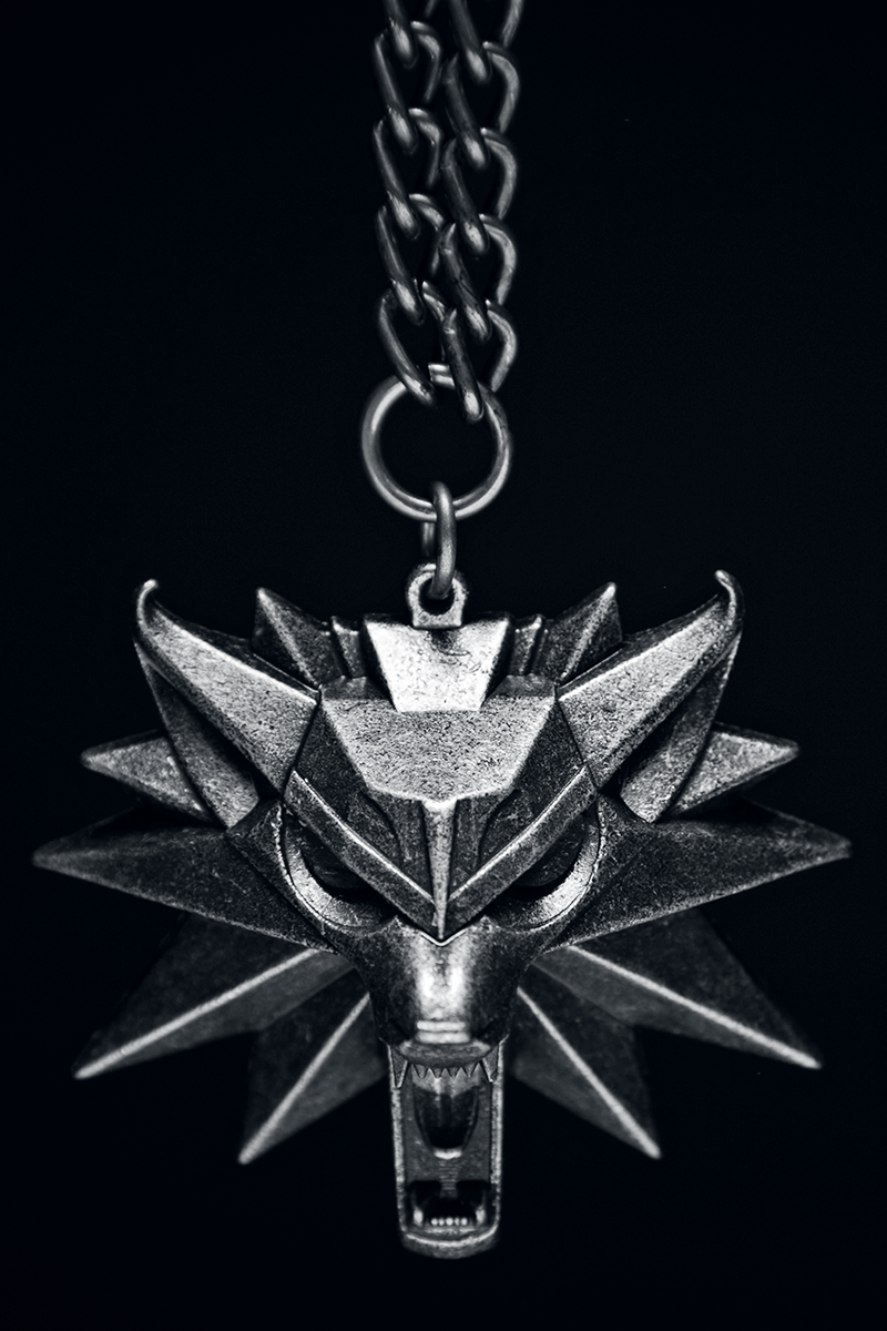 The Witcher Wild Hunt Medaillon Halskette silberfarben