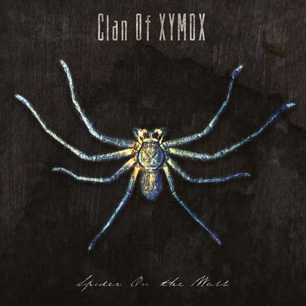 Image of Clan Of Xymox Spider on the wall CD Standard