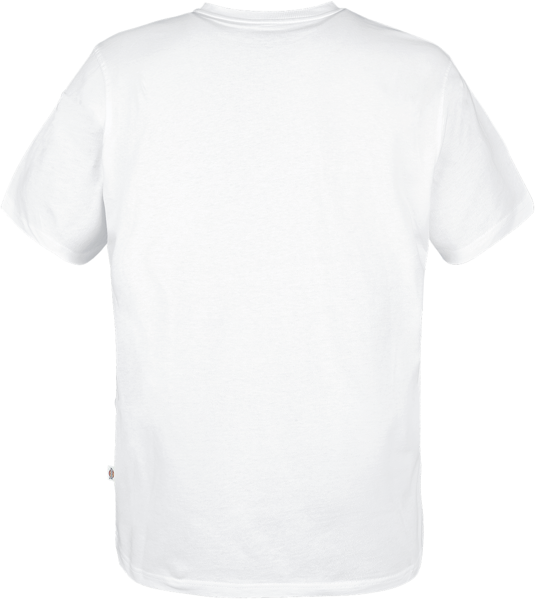 Dickies Summerdale Tee T-Shirt weiß