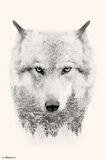 Trees, Wolf, Poster