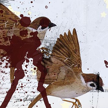 Bring Me The Horizon This is what the edge of your seat was made for CD multicolor Bring Me The Horizon This is what the edge of your seat was made for CD multicolor