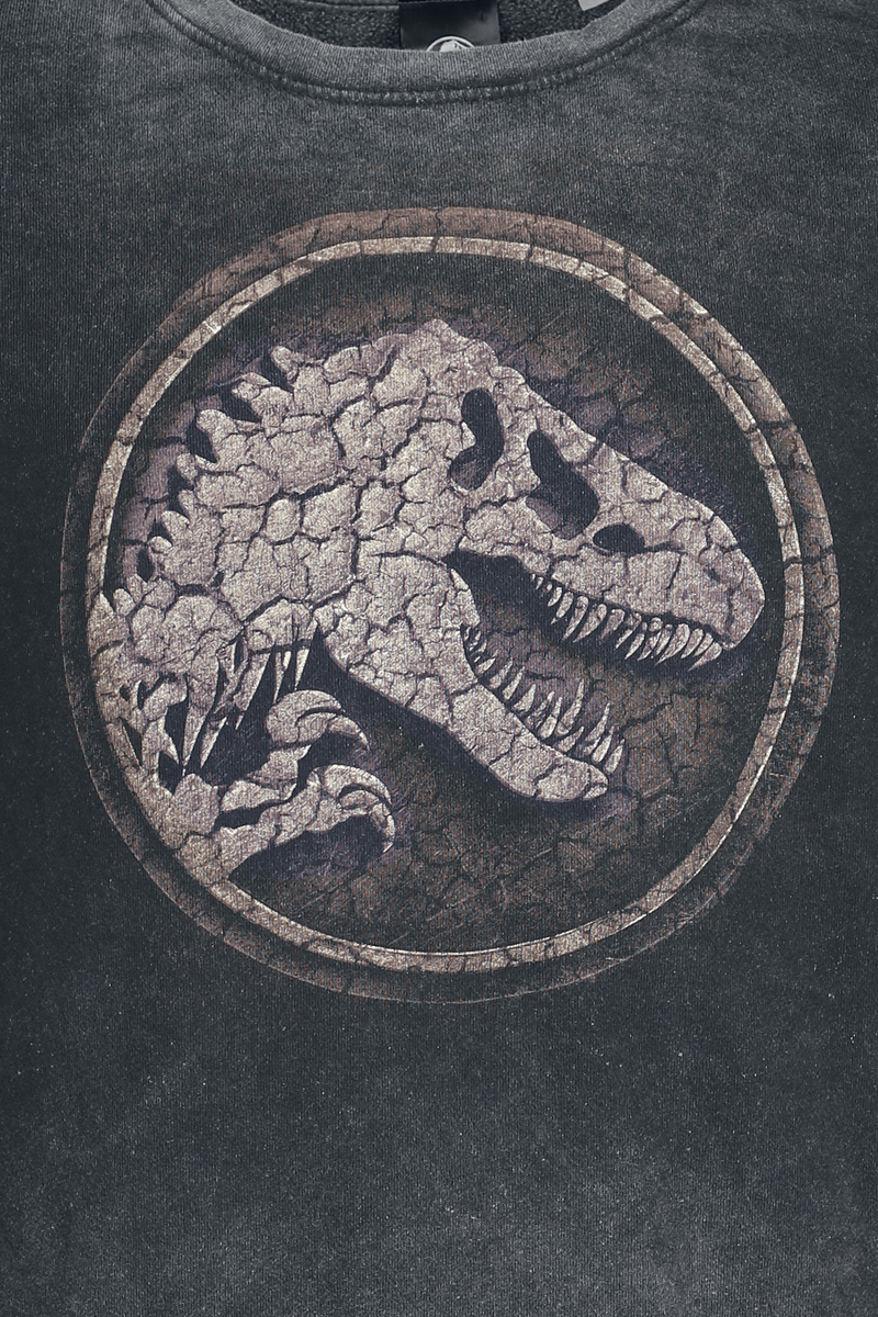 4069225057035 - Cracked Earth Sweatshirt grau in L