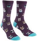 Smarty Cats, Sock it to me, Socken