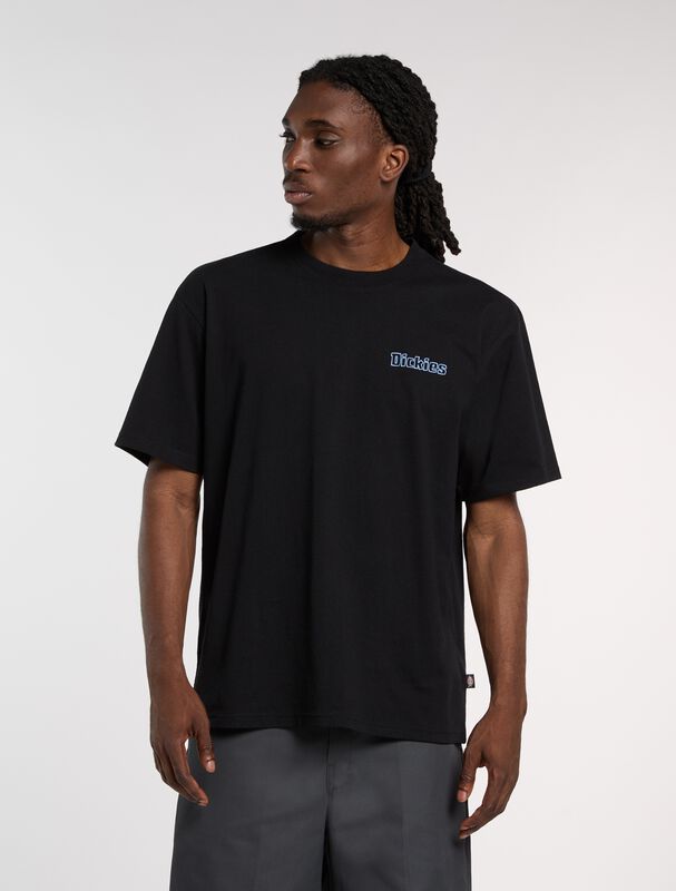 Dickies FAIRLAWN TEE T-Shirt schwarz in XXL DK0A88GEBLK1 BLACK