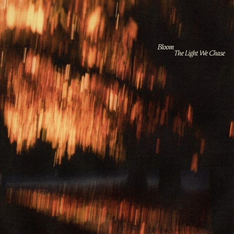 0810540038384 - The Light We Chase LP multicolor