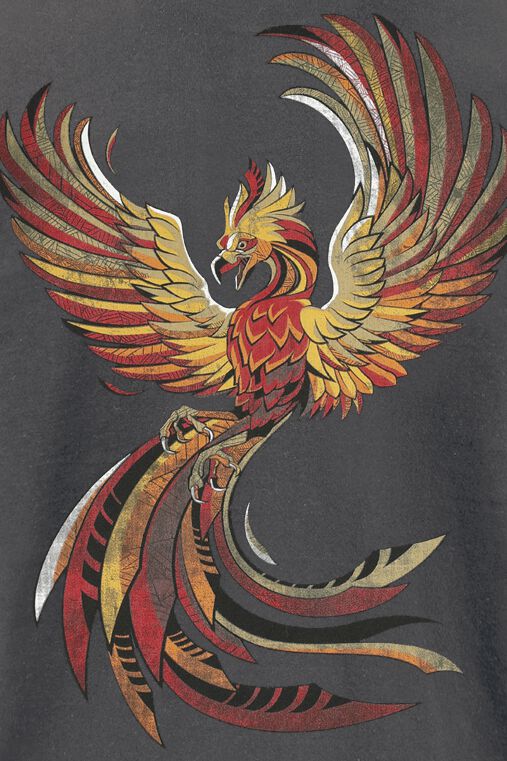 Fawkes T-Shirt anthrazit von Harry Potter