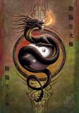 Yin Yang Protector, Anne Stokes, Flagge