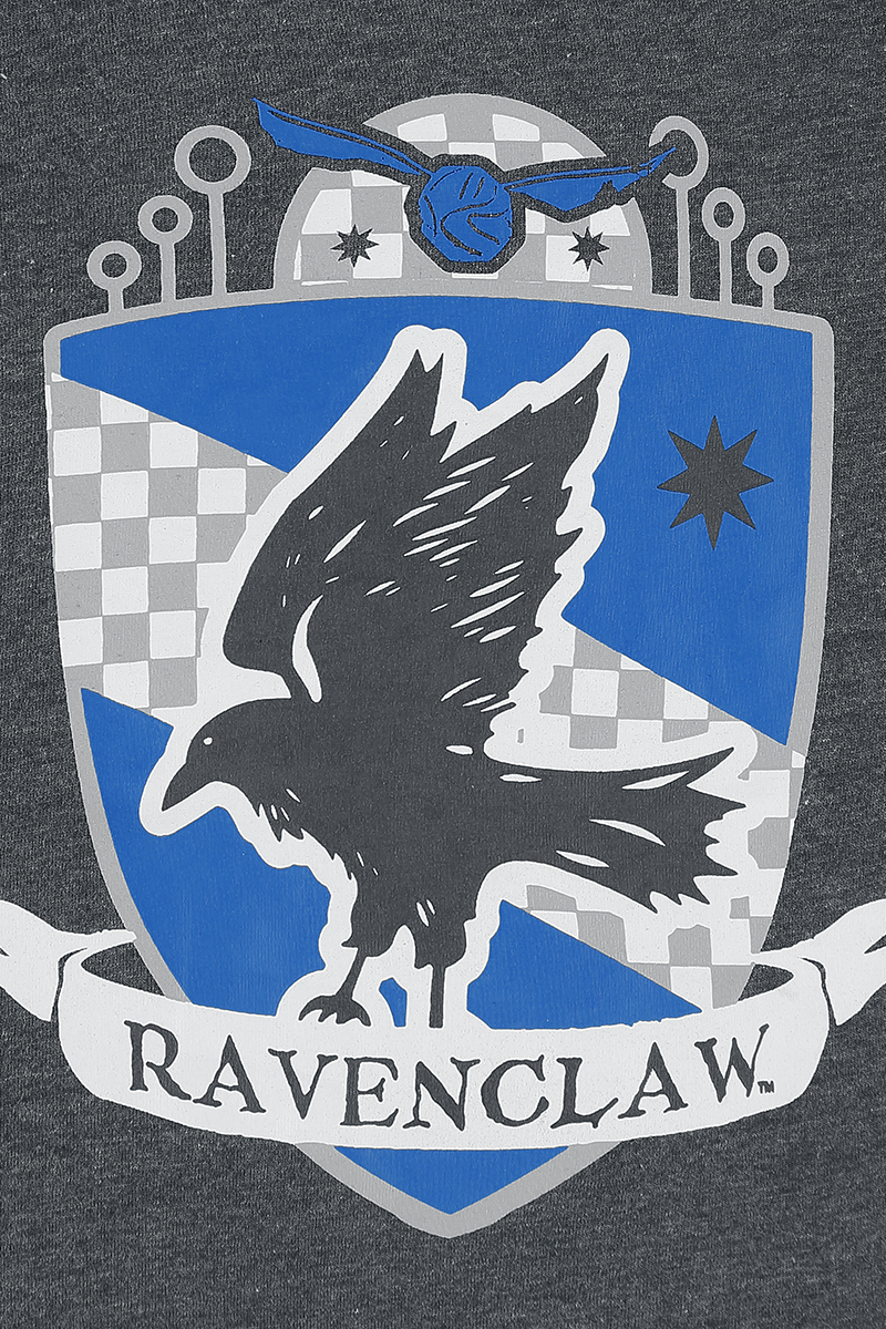 Harry Potter Ravenclaw Quidditch Schlafanzug grau blau