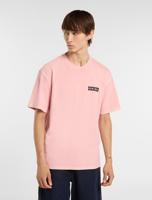 Thumbnail - Dickies BUCHTELL TEE T-Shirt rosa in L