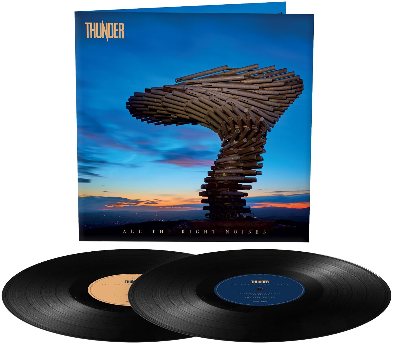 Thunder All the right noises LP multicolor