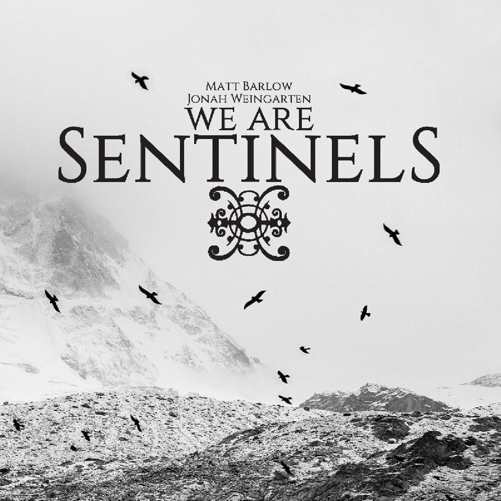 We Are Sentinels We are sentinels CD multicolor