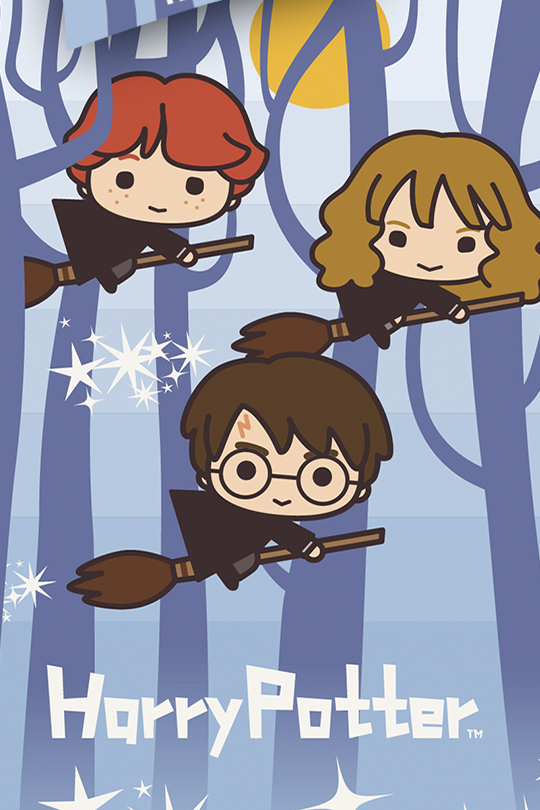 Harry Potter Flight Bettwäsche multicolor